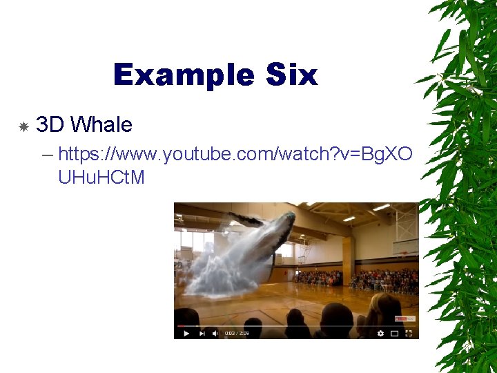 Example Six 3 D Whale – https: //www. youtube. com/watch? v=Bg. XO UHu. HCt.
