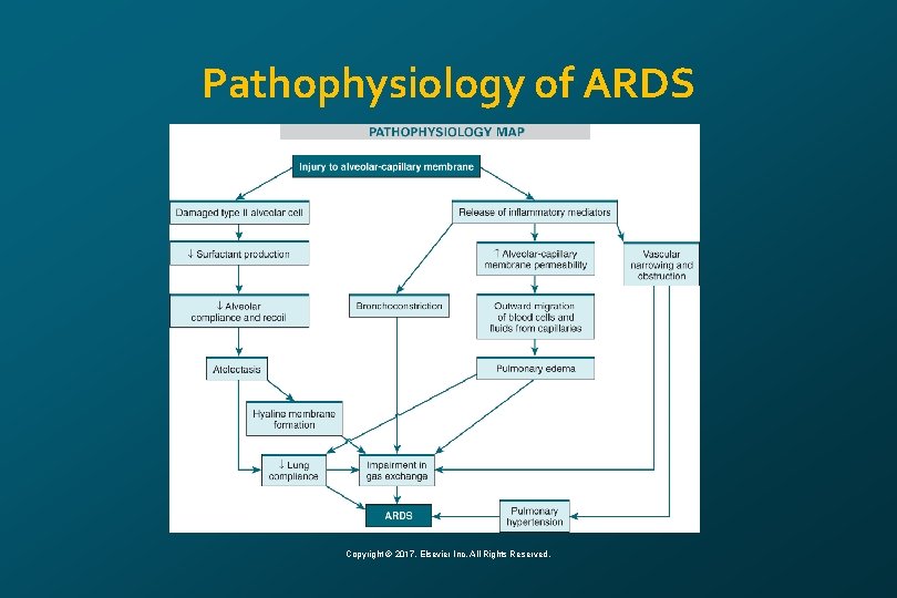 Pathophysiology of ARDS Copyright © 2017, Elsevier Inc. All Rights Reserved. 