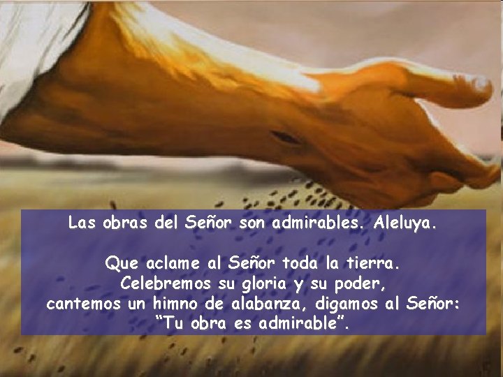 Las obras del Señor son admirables. Aleluya. Que aclame al Señor toda la tierra.