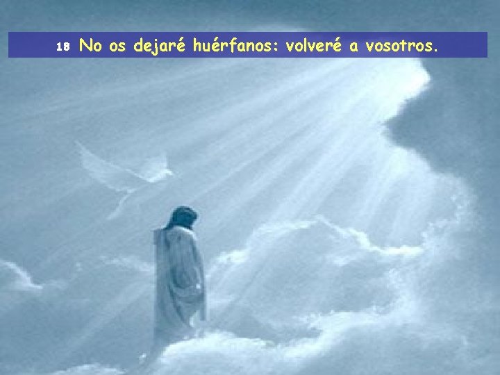 18 No os dejaré huérfanos: volveré a vosotros. 