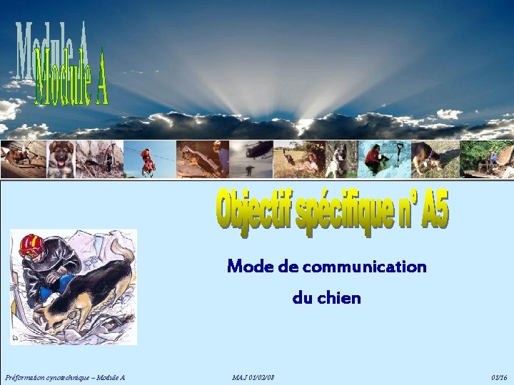 Mode de communication du chien Préformation cynotechnique – Module A MAJ 01/02/08 01/16 