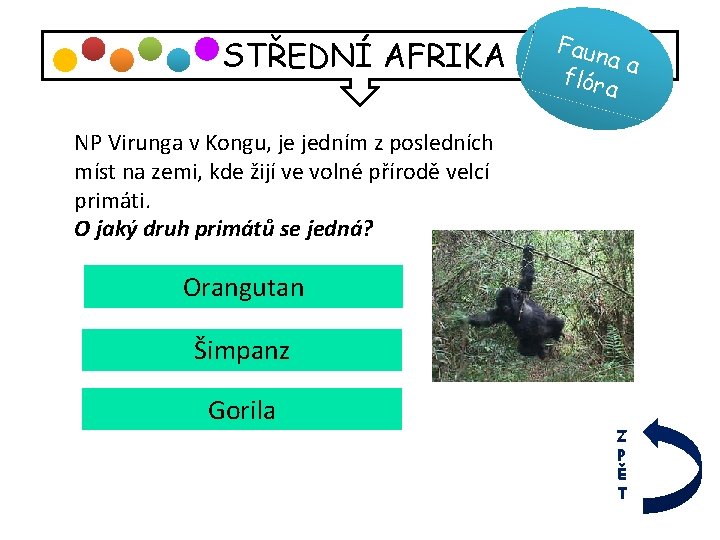 STŘEDNÍ AFRIKA Faun aa flóra NP Virunga v Kongu, je jedním z posledních míst