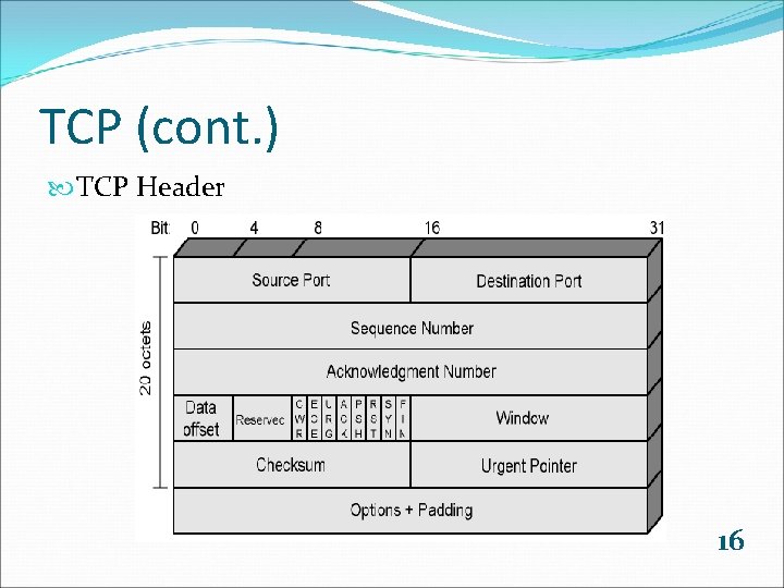 TCP (cont. ) TCP Header 16 