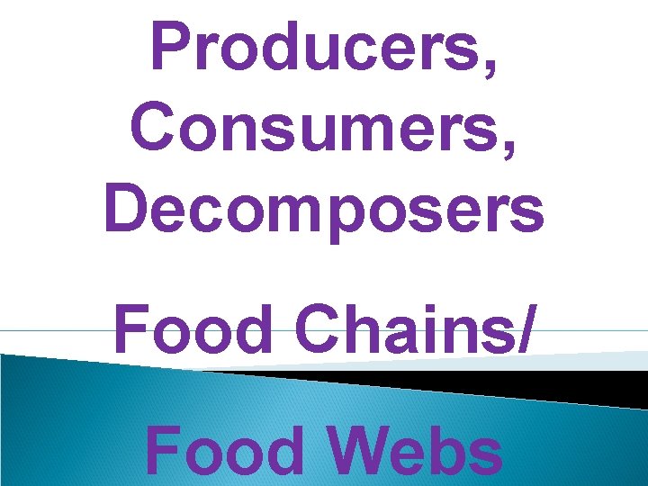 Producers, Consumers, Decomposers Food Chains/ Food Webs 