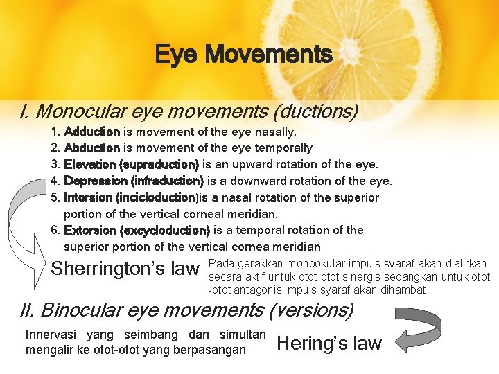 Eye Movements I. Monocular eye movements (ductions) 1. Adduction is movement of the eye