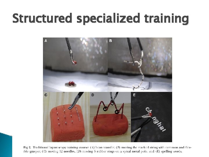 Structured specialized training 