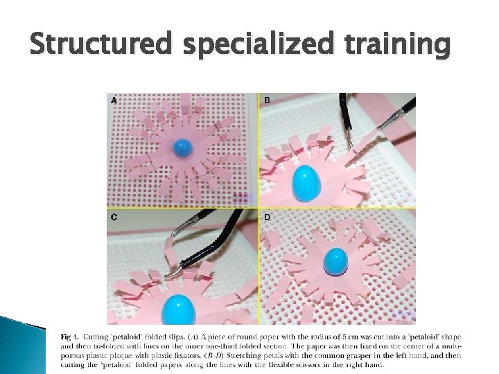 Structured specialized training 