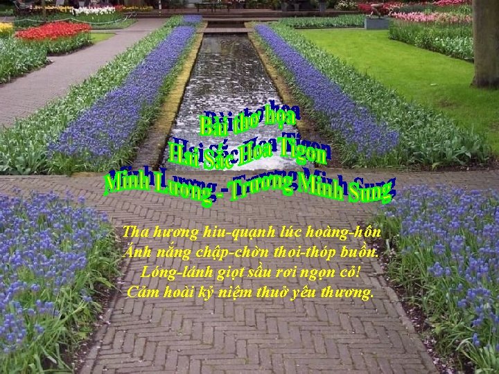 Tha hương hiu-quạnh lúc hoàng-hôn Ánh nắng chập-chờn thoi-thóp buồn. Lóng-lánh giọt sầu rơi Tha hương hiu-quạnh lúc hoàng-hôn Ánh nắng chập-chờn thoi-thóp buồn. Lóng-lánh giọt sầu rơi