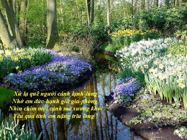 Xứ lạ quê người cảnh lạnh-lùng Nhớ em đức-hạnh giữ gia-phong. Nhìn chim mỏi Xứ lạ quê người cảnh lạnh-lùng Nhớ em đức-hạnh giữ gia-phong. Nhìn chim mỏi