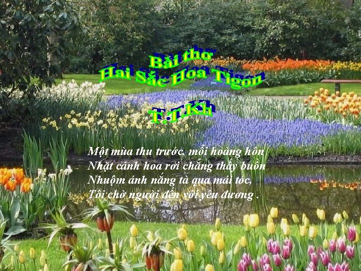 Một mùa thu trước, mỗi hoàng hôn Nhặt cánh hoa rơi chẳng thấy buồn Một mùa thu trước, mỗi hoàng hôn Nhặt cánh hoa rơi chẳng thấy buồn