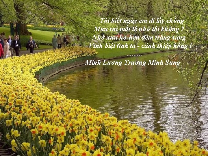 Tôi biết ngày em đi lấy chồng Mưa rơi mắt lệ nhớ tôi không Tôi biết ngày em đi lấy chồng Mưa rơi mắt lệ nhớ tôi không