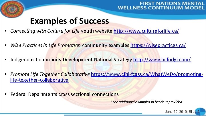 Examples of Success • Connecting with Culture for Life youth website http: //www. cultureforlife.