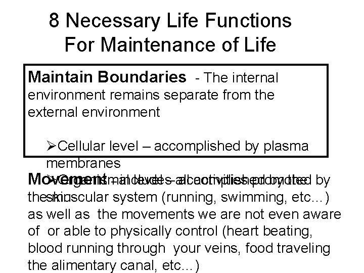 8 Necessary Life Functions For Maintenance of Life Maintain Boundaries - The internal environment