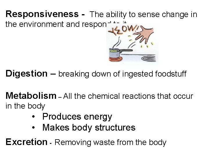 Responsiveness - The ability to sense change in the environment and respond to it