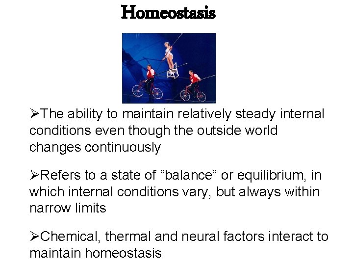 Homeostasis ØThe ability to maintain relatively steady internal conditions even though the outside world