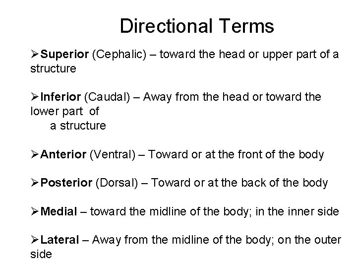 Directional Terms ØSuperior (Cephalic) – toward the head or upper part of a structure