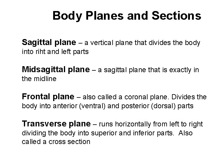 Body Planes and Sections Sagittal plane – a vertical plane that divides the body