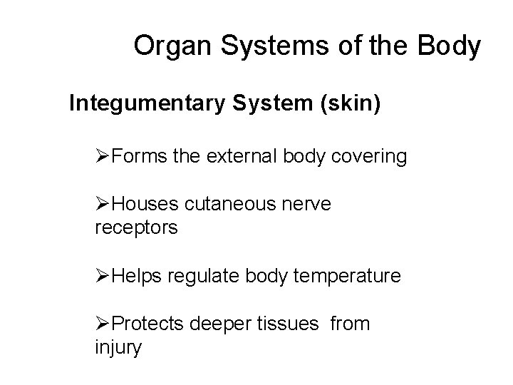 Organ Systems of the Body Integumentary System (skin) ØForms the external body covering ØHouses
