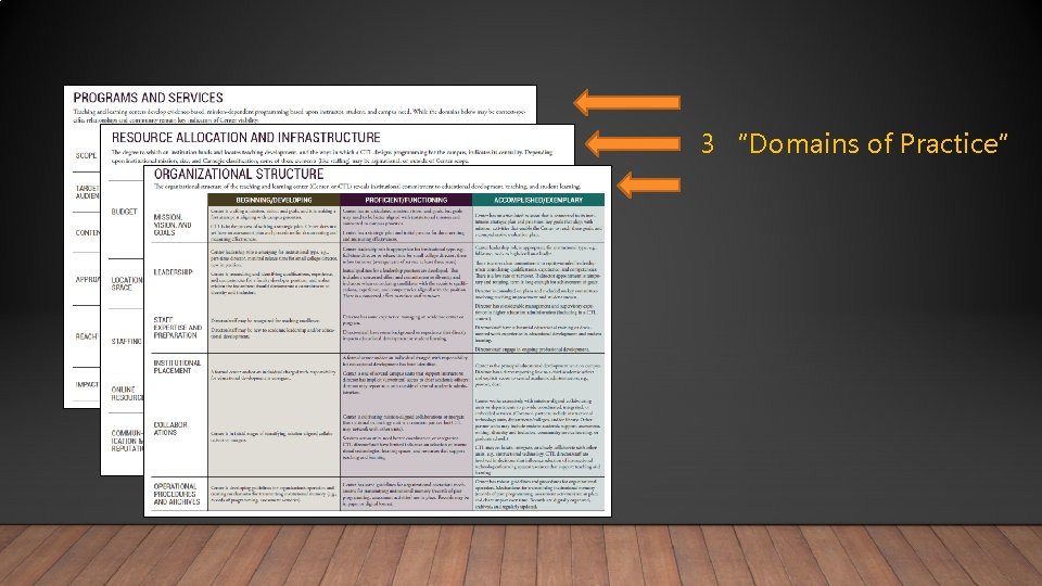3 “Domains of Practice” 
