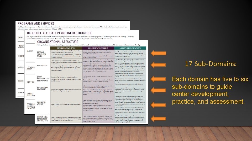 17 Sub-Domains: Each domain has five to six sub-domains to guide center development, practice,