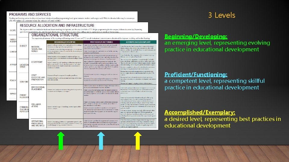 3 Levels Beginning/Developing: an emerging level, representing evolving practice in educational development Proficient/Functioning: a