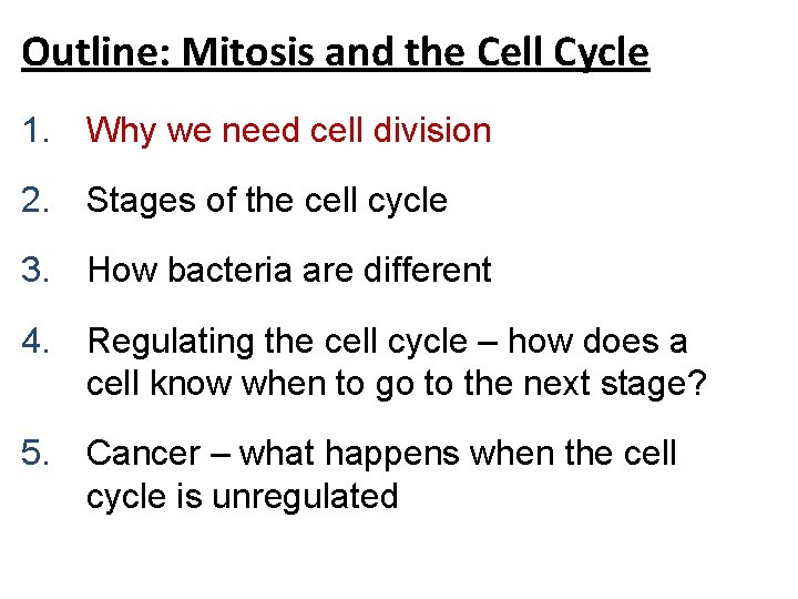 Outline: Mitosis and the Cell Cycle 1. Why we need cell division 2. Stages Outline: Mitosis and the Cell Cycle 1. Why we need cell division 2. Stages