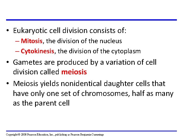 • Eukaryotic cell division consists of: – Mitosis, the division of the nucleus • Eukaryotic cell division consists of: – Mitosis, the division of the nucleus