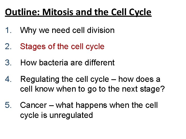 Outline: Mitosis and the Cell Cycle 1. Why we need cell division 2. Stages Outline: Mitosis and the Cell Cycle 1. Why we need cell division 2. Stages