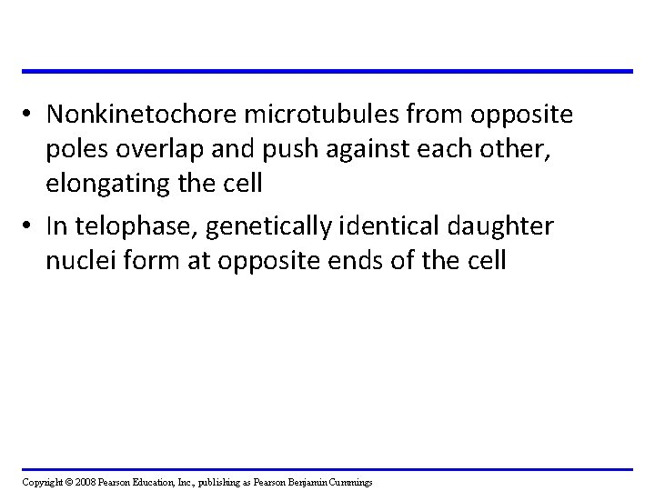 • Nonkinetochore microtubules from opposite poles overlap and push against each other, elongating • Nonkinetochore microtubules from opposite poles overlap and push against each other, elongating