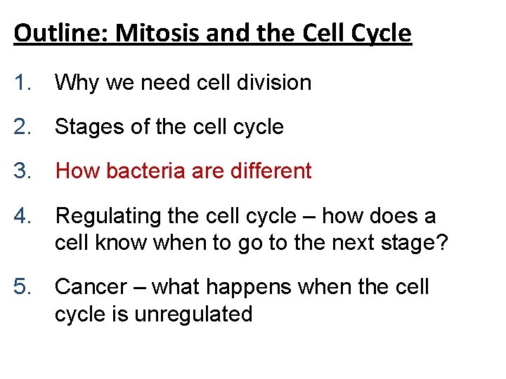 Outline: Mitosis and the Cell Cycle 1. Why we need cell division 2. Stages Outline: Mitosis and the Cell Cycle 1. Why we need cell division 2. Stages