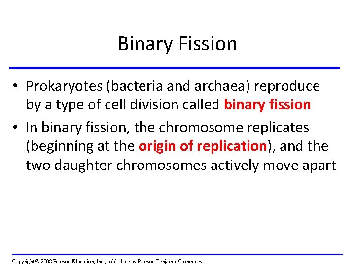 Binary Fission • Prokaryotes (bacteria and archaea) reproduce by a type of cell division Binary Fission • Prokaryotes (bacteria and archaea) reproduce by a type of cell division