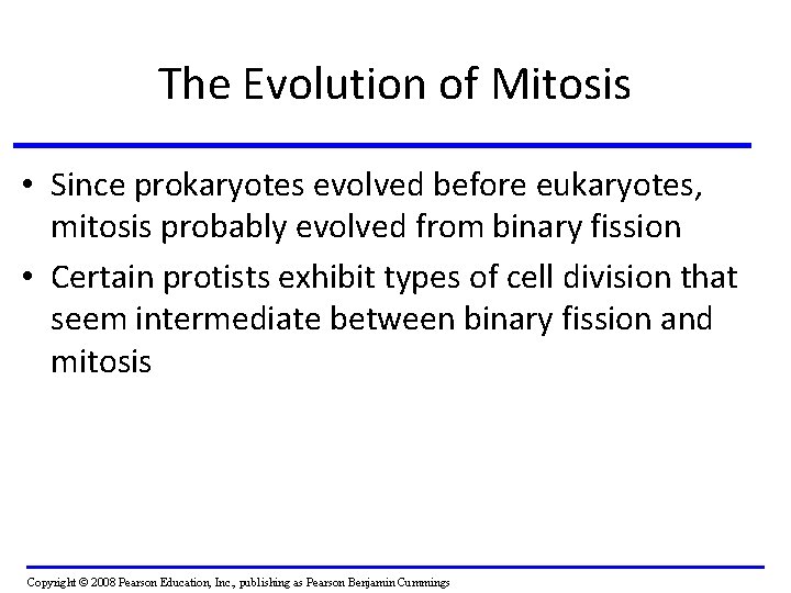 The Evolution of Mitosis • Since prokaryotes evolved before eukaryotes, mitosis probably evolved from The Evolution of Mitosis • Since prokaryotes evolved before eukaryotes, mitosis probably evolved from