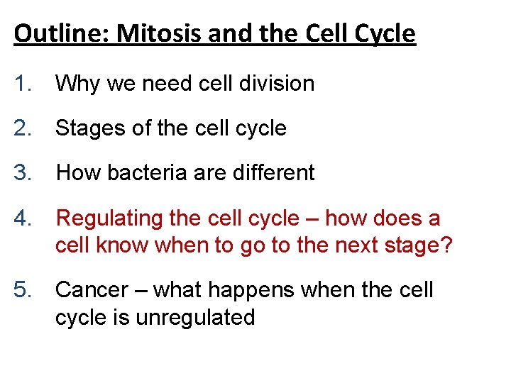 Outline: Mitosis and the Cell Cycle 1. Why we need cell division 2. Stages Outline: Mitosis and the Cell Cycle 1. Why we need cell division 2. Stages
