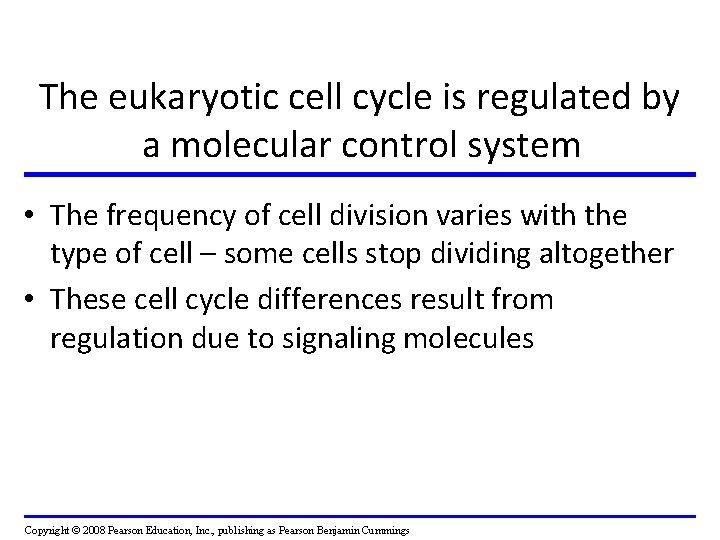 The eukaryotic cell cycle is regulated by a molecular control system • The frequency The eukaryotic cell cycle is regulated by a molecular control system • The frequency