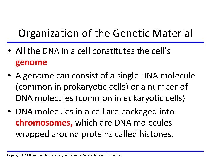 Organization of the Genetic Material • All the DNA in a cell constitutes the Organization of the Genetic Material • All the DNA in a cell constitutes the
