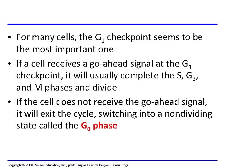 • For many cells, the G 1 checkpoint seems to be the most • For many cells, the G 1 checkpoint seems to be the most