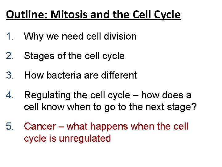 Outline: Mitosis and the Cell Cycle 1. Why we need cell division 2. Stages Outline: Mitosis and the Cell Cycle 1. Why we need cell division 2. Stages
