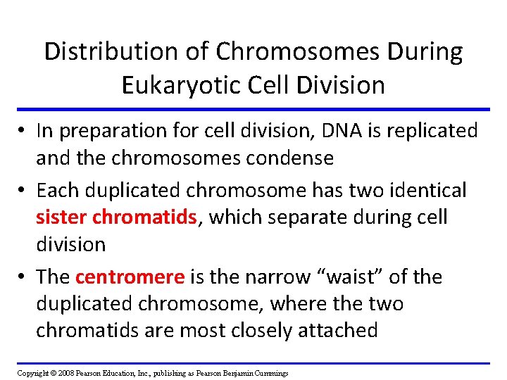 Distribution of Chromosomes During Eukaryotic Cell Division • In preparation for cell division, DNA Distribution of Chromosomes During Eukaryotic Cell Division • In preparation for cell division, DNA