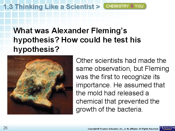 1. 3 Thinking Like a Scientist > CHEMISTRY & YOU What was Alexander Fleming’s