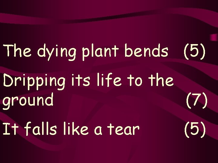 The dying plant bends (5) Dripping its life to the ground (7) It falls