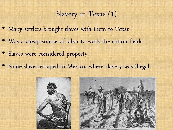  • • Slavery in Texas (1) Many settlers brought slaves with them to