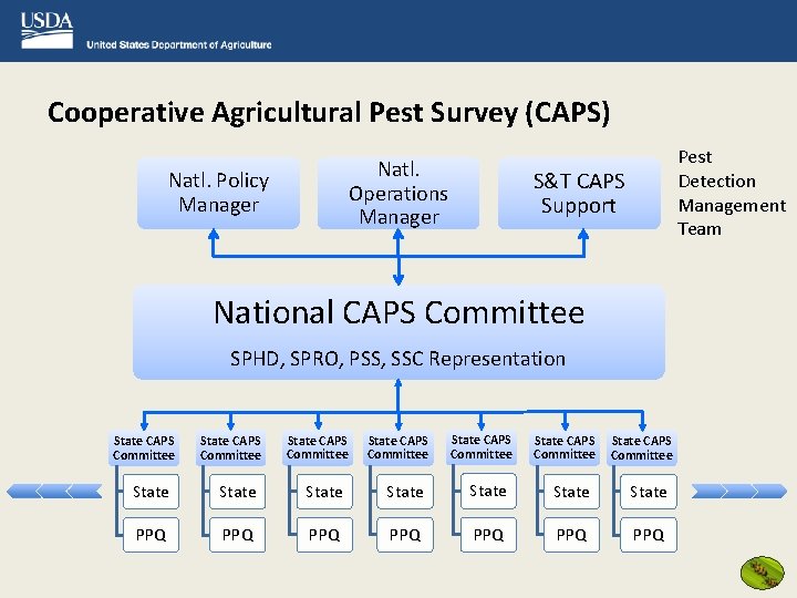 Cooperative Agricultural Pest Survey (CAPS) Natl. Operations Manager Natl. Policy Manager Pest Detection Management