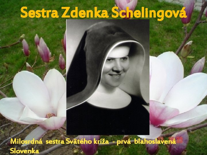 Sestra Zdenka Schelingová Milosrdná sestra Svätého kríža - prvá blahoslavená Slovenka 