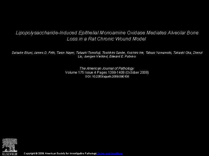 Lipopolysaccharide-Induced Epithelial Monoamine Oxidase Mediates Alveolar Bone Loss in a Rat Chronic Wound Model