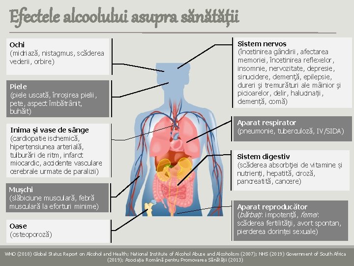 Efectele alcoolului asupra sănătății Ochi (midriază, nistagmus, scăderea vederii, orbire) Piele (piele uscată, înroșirea