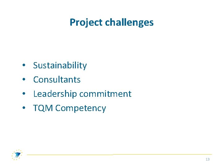 Project challenges • • Sustainability Consultants Leadership commitment TQM Competency 13 