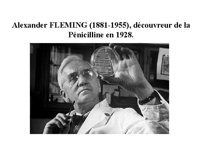 Alexander FLEMING (1881 -1955), découvreur de la Pénicilline en 1928. 