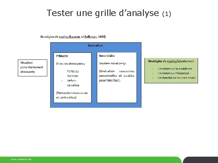 Tester une grille d’analyse www. unamur. be (1) 