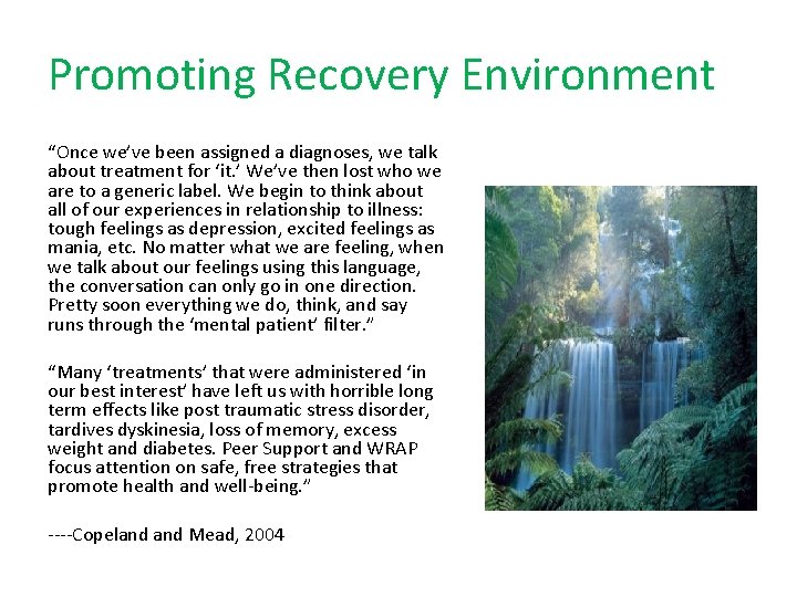 Promoting Recovery Environment “Once we’ve been assigned a diagnoses, we talk about treatment for