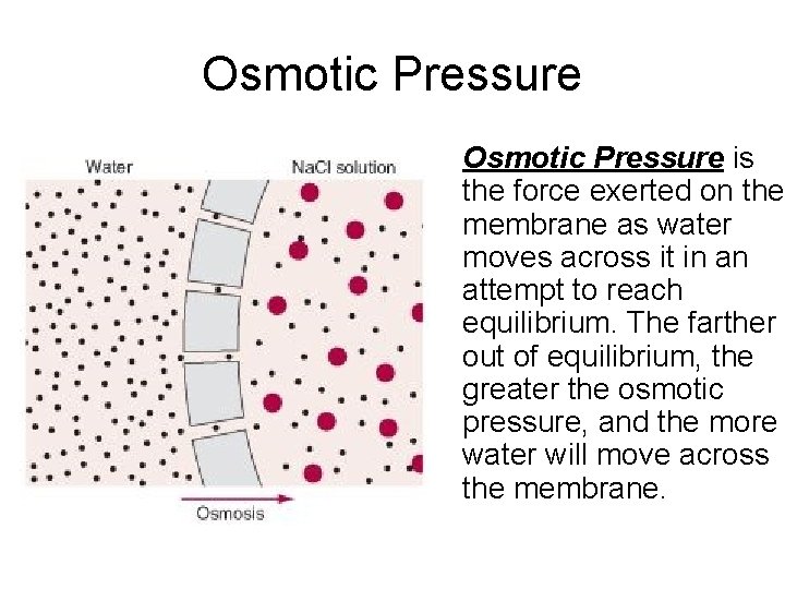 Osmotic Pressure is the force exerted on the membrane as water moves across it